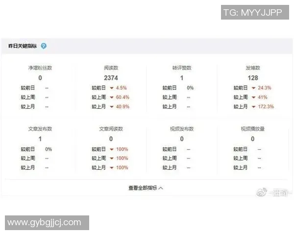 丹麦与波兰足球比赛数据分析及统计报告详解
