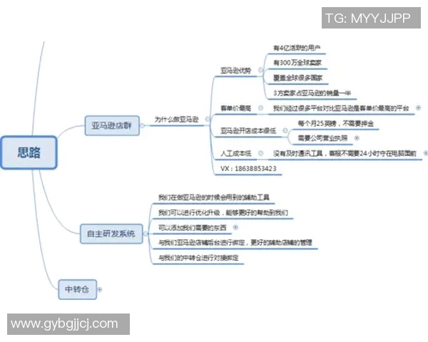 无货源跨境电商模式解析与成功案例分享助力创业者快速入驻国际市场 无货源跨境电商模式解析与成功案例分享助力创业者快速入驻国际市场