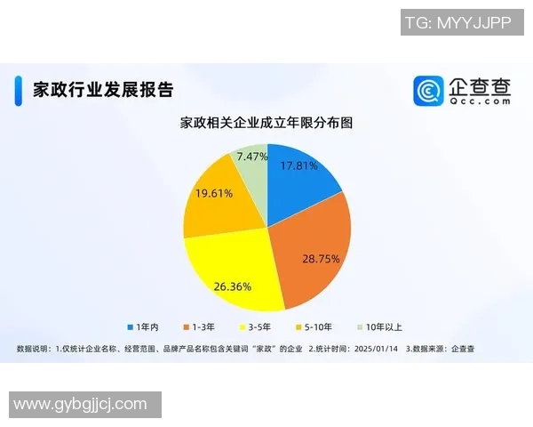 家政服务行业的发展趋势与创新探索：提升品质与效益的关键路径分析
