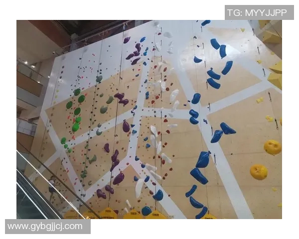 深圳极限运动队的意识变革与热议极限运动的未来发展探讨