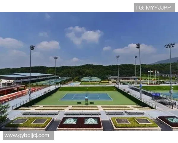 南京网球队状态分析与发展展望聚焦网球运动的未来与挑战