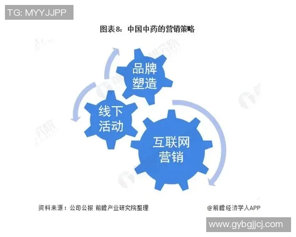 深入分析上海排球队的运营策略与市场推广模式